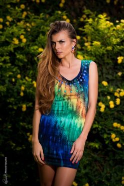 Omber Mini Studded Dress