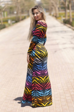 Multi Color Zebra Maxi Sleeves Dress