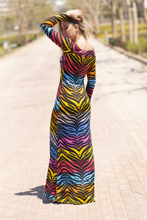 Multi Color Zebra Maxi Sleeves Dress - Image 4