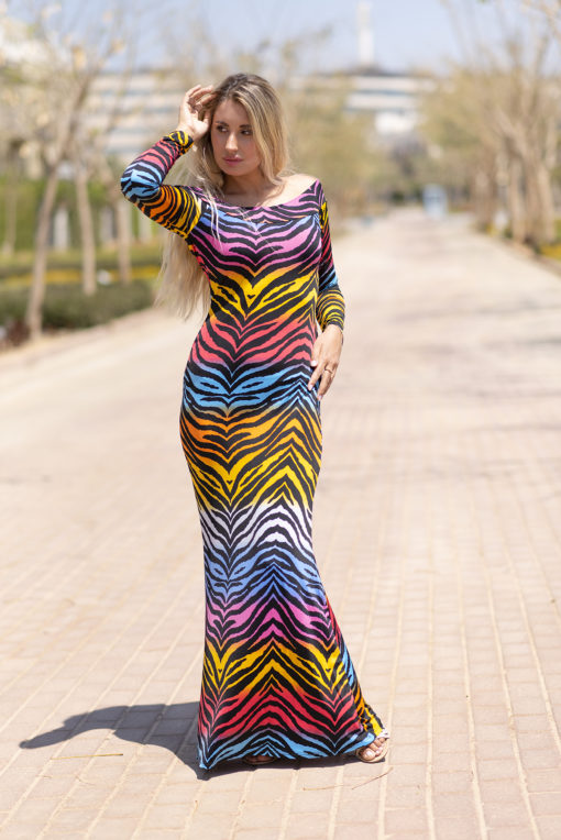 Multi Color Zebra Maxi Sleeves Dress - Image 2