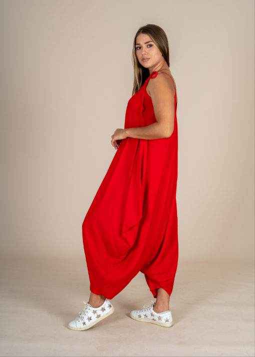 Sherwal Jumpsuit - Image 3