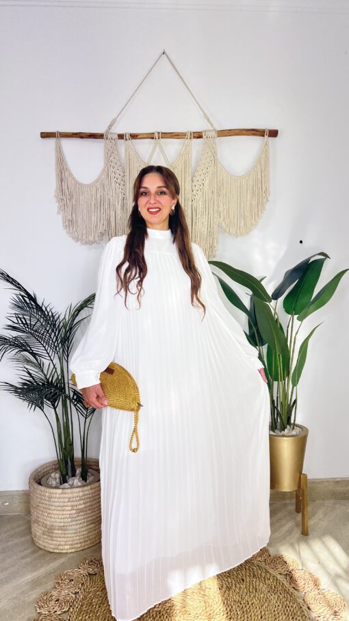Pleated Sleeves Chiffon Dress - Image 4