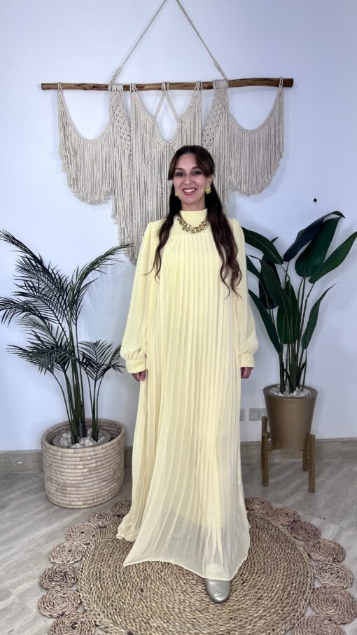 Pleated Sleeves Chiffon Dress - Image 16